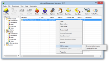 Internet Download Manager screenshot 2
