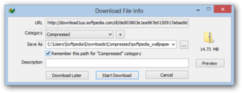 Internet Download Manager screenshot 3