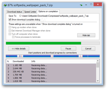 Internet Download Manager screenshot 5