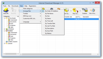Internet Download Manager screenshot 7