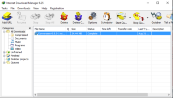 Internet Download Manager screenshot