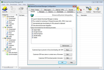 Internet Download Manager screenshot 2