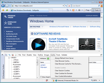 Internet Explorer Developer Toolbar screenshot 6