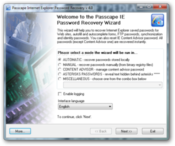 Internet Explorer Password Recovery screenshot