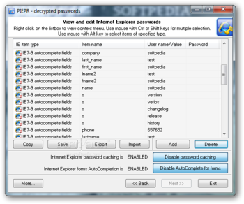 Internet Explorer Password Recovery screenshot 2