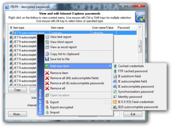 Internet Explorer Password Recovery screenshot 3