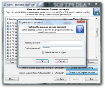 Internet Explorer Password Recovery screenshot 5