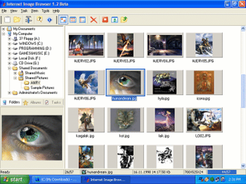 Internet Image Browser screenshot