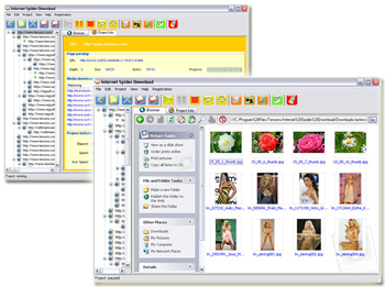 Internet Spider Download screenshot 2