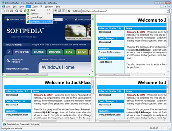 Internet Surfer screenshot 3