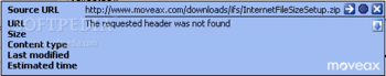 InternetFileSize screenshot 2