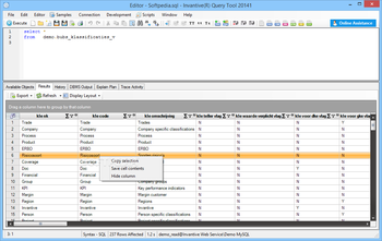 Invantive Query Tool screenshot 2