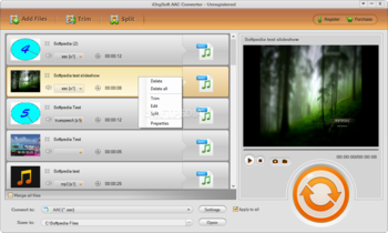 iOrgSoft AAC Converter screenshot