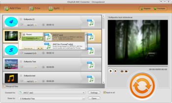 iOrgSoft AAC Converter screenshot 2
