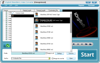 iOrgSoft BlackBerry Video Converter screenshot 2