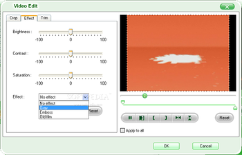 iOrgSoft DVD to Flash Converter screenshot 4