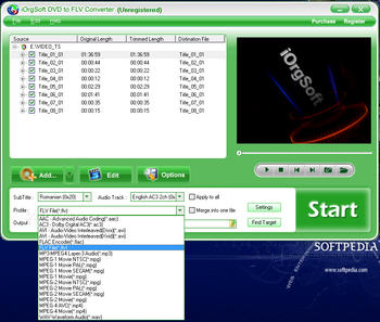 iOrgSoft DVD to FLV Converter screenshot