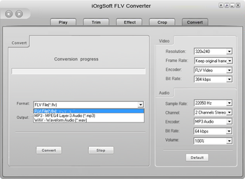 iOrgSoft FLV Converter screenshot 5