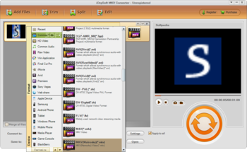 iOrgSoft MKV Converter screenshot 2
