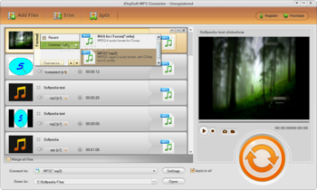 iOrgSoft MP2 Converter screenshot 2