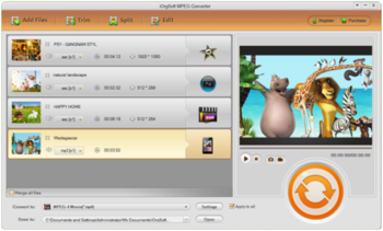 iOrgSoft MPEG Converter screenshot
