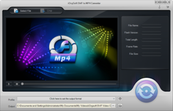 iOrgSoft SWF to MP4 Converter screenshot 4