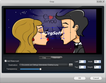 iOrgSoft SWF to MP4 Converter screenshot 5