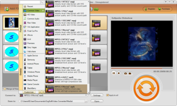 iOrgSoft Video Converter screenshot 2