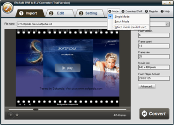 iPixSoft SWF to FLV Converter screenshot 2