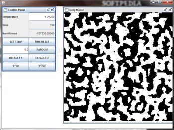 Ising model screenshot