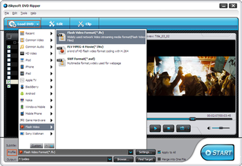 iSkysoft DVD Ripper screenshot