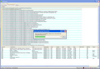 iTOrganize for iTunes screenshot