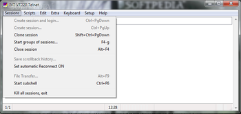 IVT VT220 Telnet screenshot 3