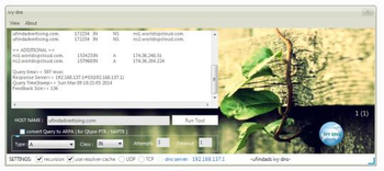 Ivy DNS screenshot