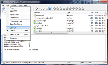 iWebGet Professional screenshot 2