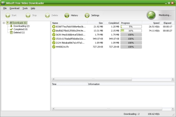 iWisoft Free Video Downloader screenshot