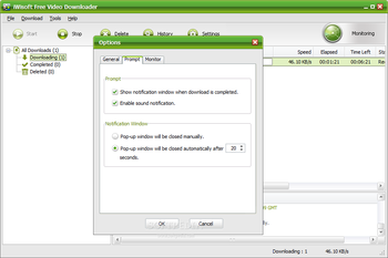 iWisoft Free Video Downloader screenshot 5