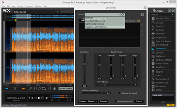 iZotope RX Advanced Audio Editor screenshot 9