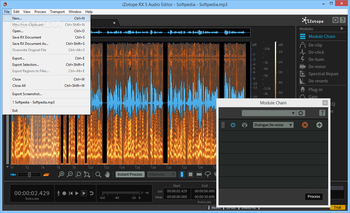 iZotope RX Audio Editor screenshot 2