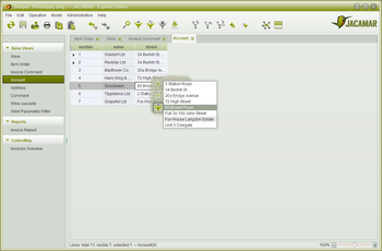 JACAMAR screenshot 3