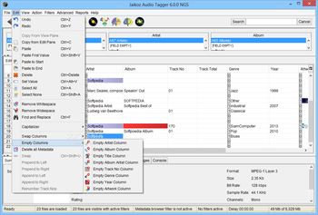Jaikoz Audio Tagger screenshot 3