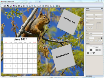 jalada Collage for Windows screenshot
