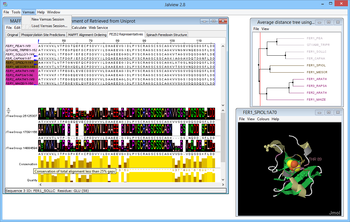 Jalview screenshot 4
