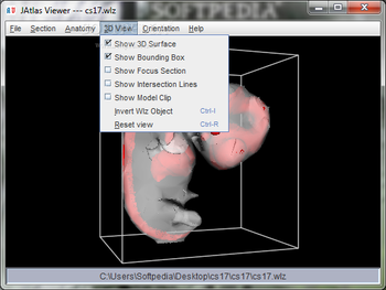 JAtlasViewer screenshot 5