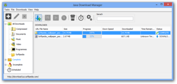 Java Download Manager screenshot