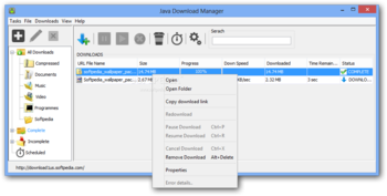 Java Download Manager screenshot 2