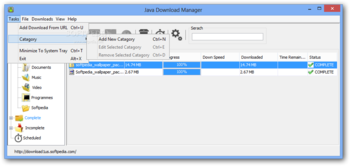 Java Download Manager screenshot 3