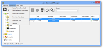 Java Download Manager screenshot 4
