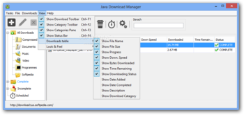 Java Download Manager screenshot 5