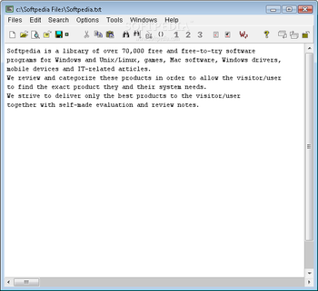 JE Editor screenshot